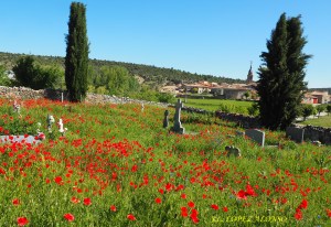 cementerio-antiguo-1